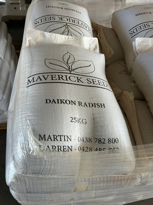 Daikon Radish Seed